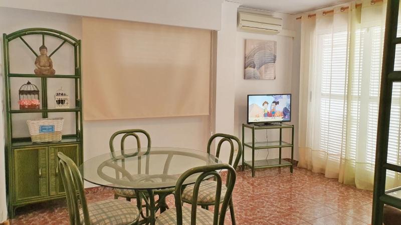 TROPICANA GANDIA - Alquiler sólo Familias - image 5
