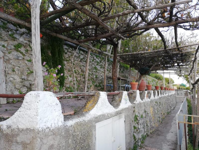 Casa Barbara - image 50