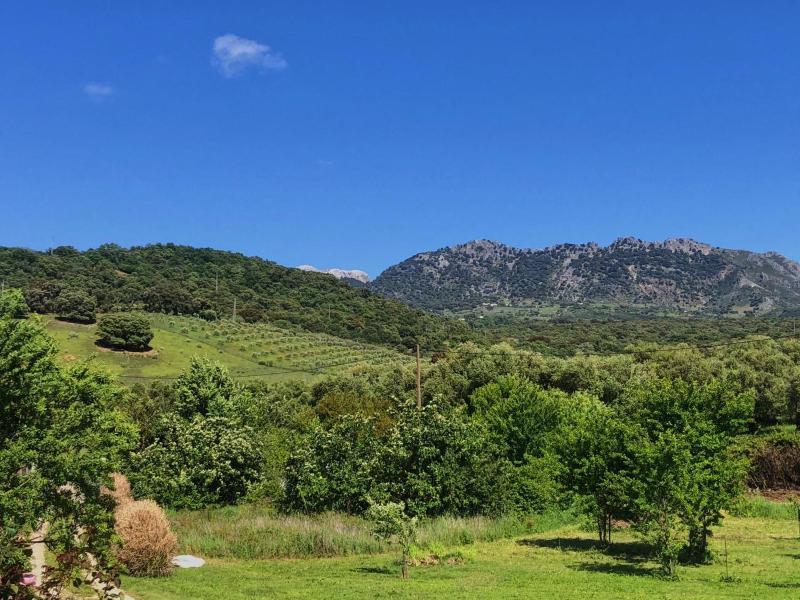 Holiday Home image 1