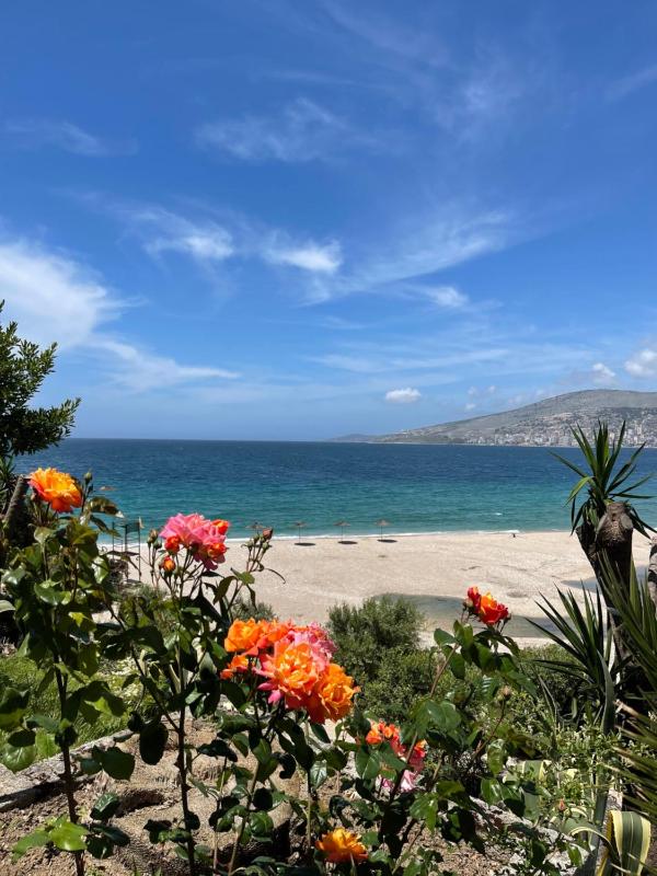 Hotel Dodona - image 7