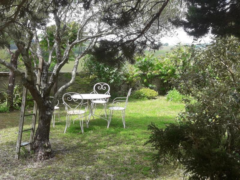 Double Room with Garden View image 3