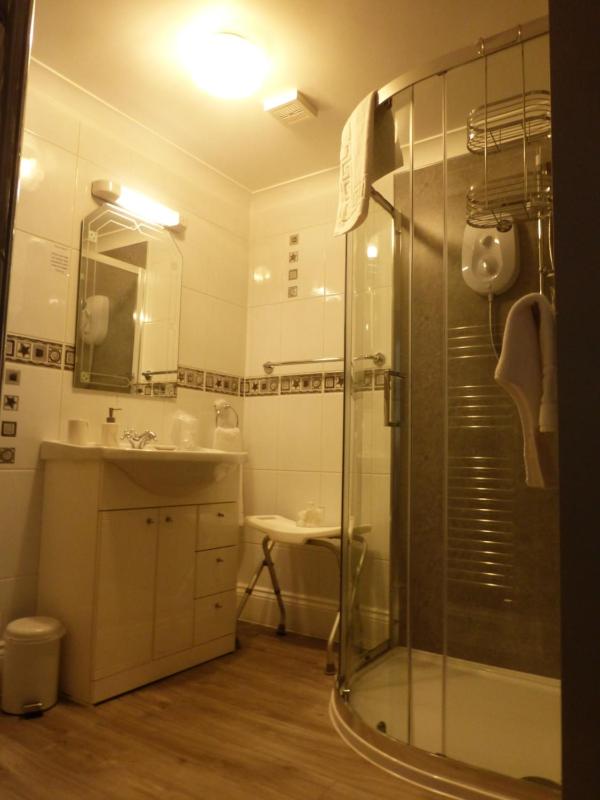 Superior Double or Twin Room image 3