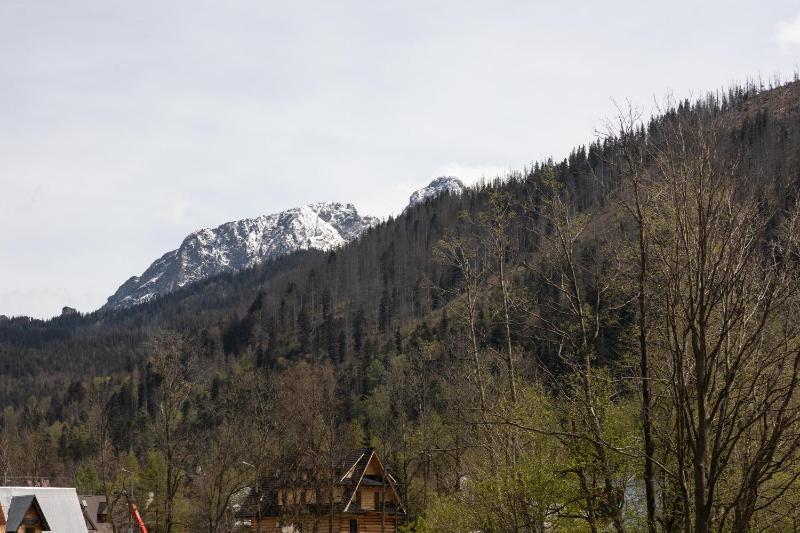 Dolina Resort Zakopane - image 3