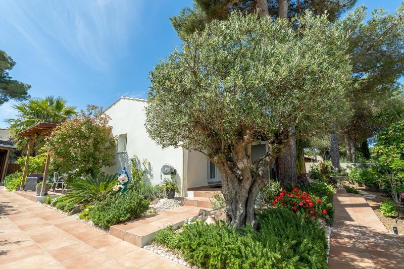 La Villa de l'Olivier - image 7