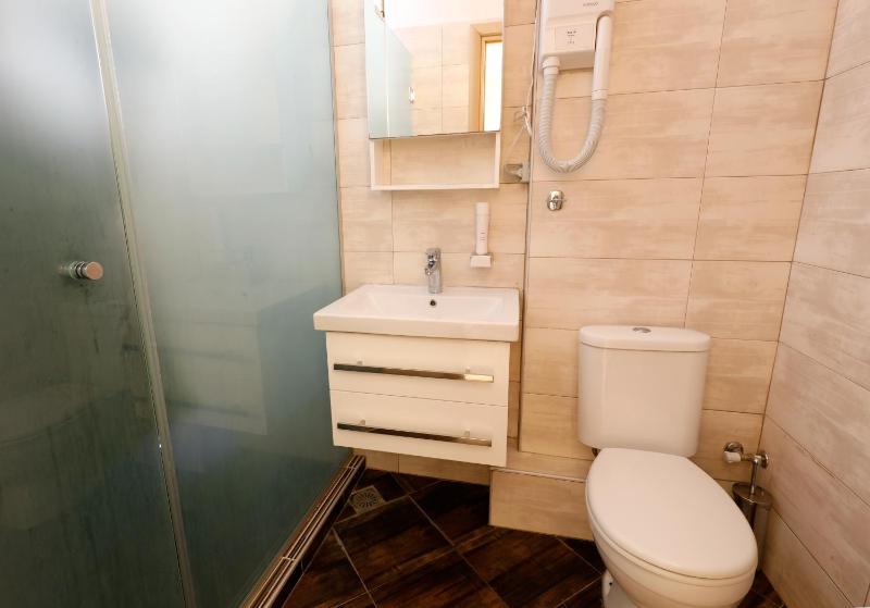 One-Bedroom Apartment image 3