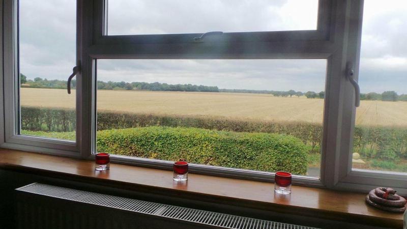 Standard King Room image 2