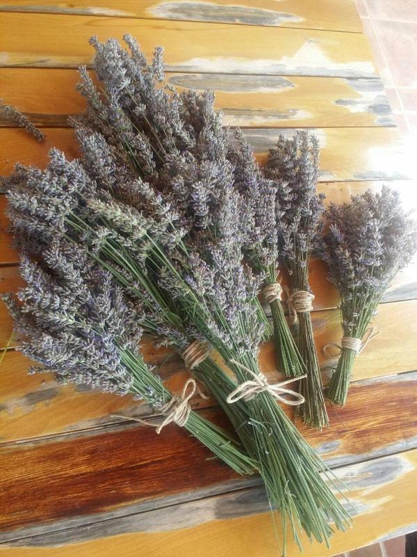 Holiday Home image 4