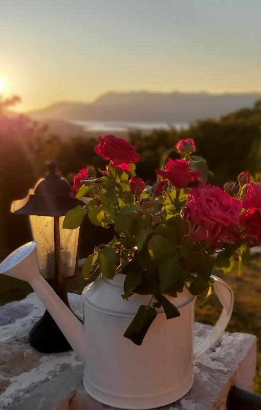 Holiday Home image 2