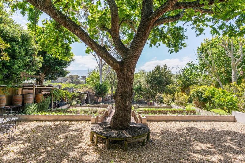 Aloe Cottage at Ibis House - image 6