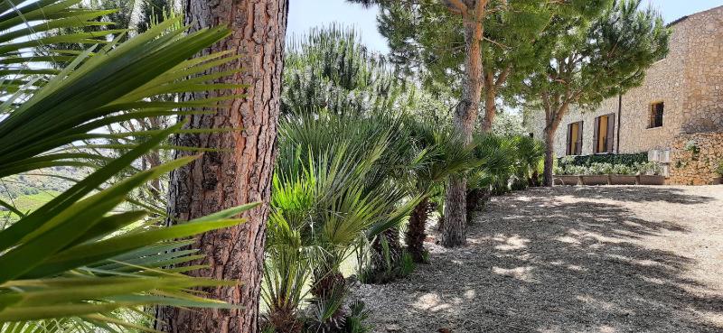 Casale Ginisara - image 50
