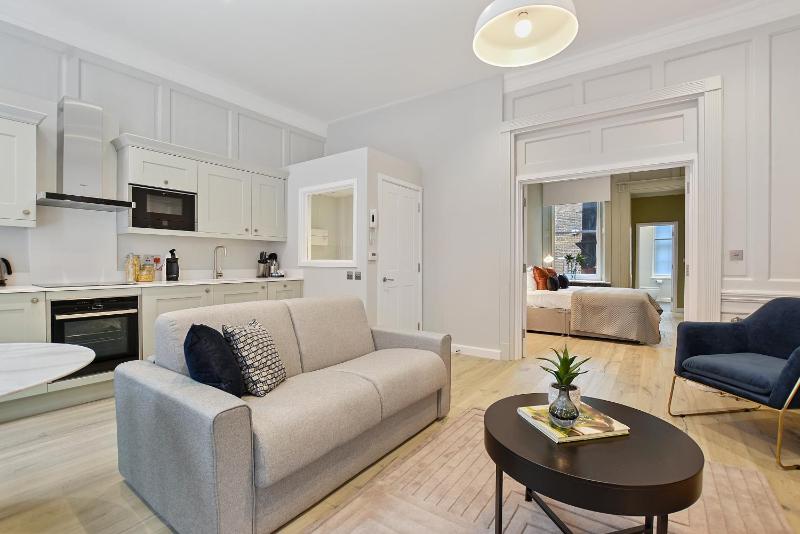 One-Bedroom Apartment image 3