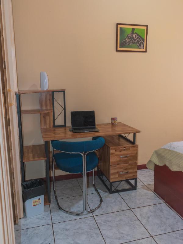 Linda casa de verano con amplias zonas verdes - image 14