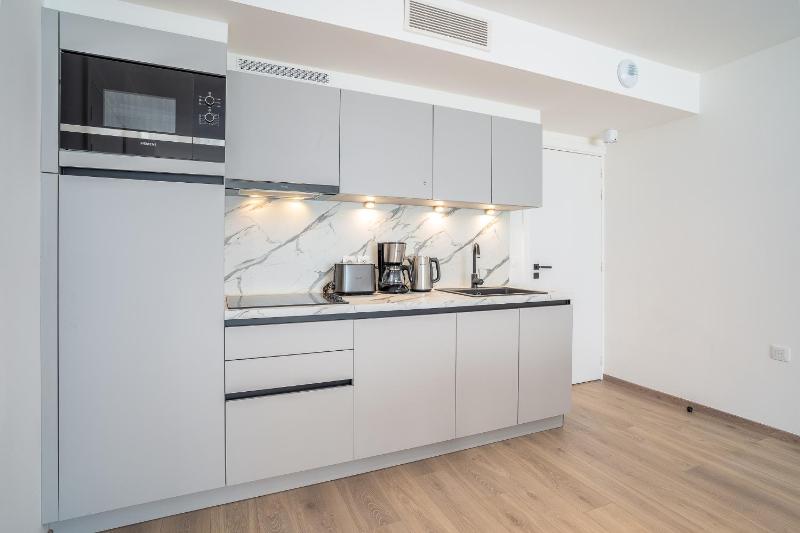 One-Bedroom Apartment image 2