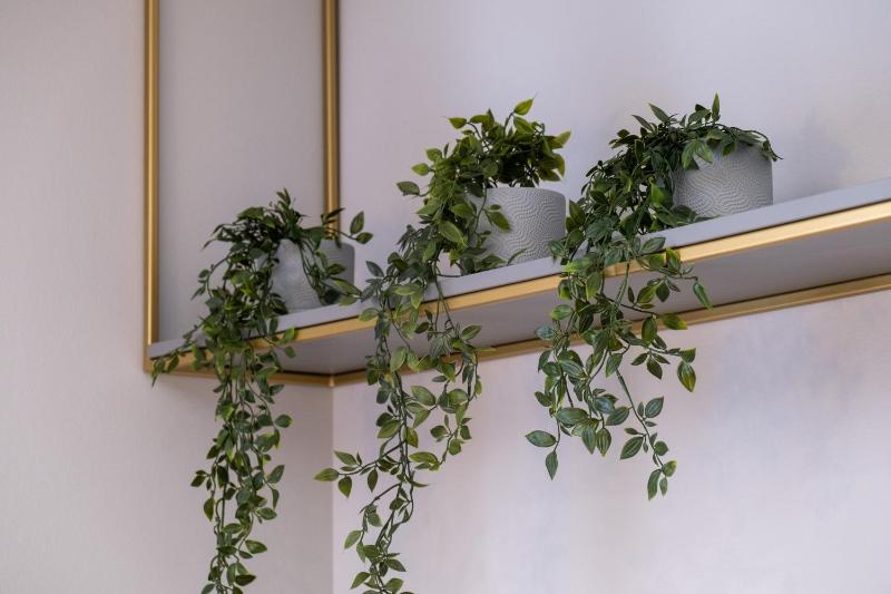 Apartman Aroma - image 10