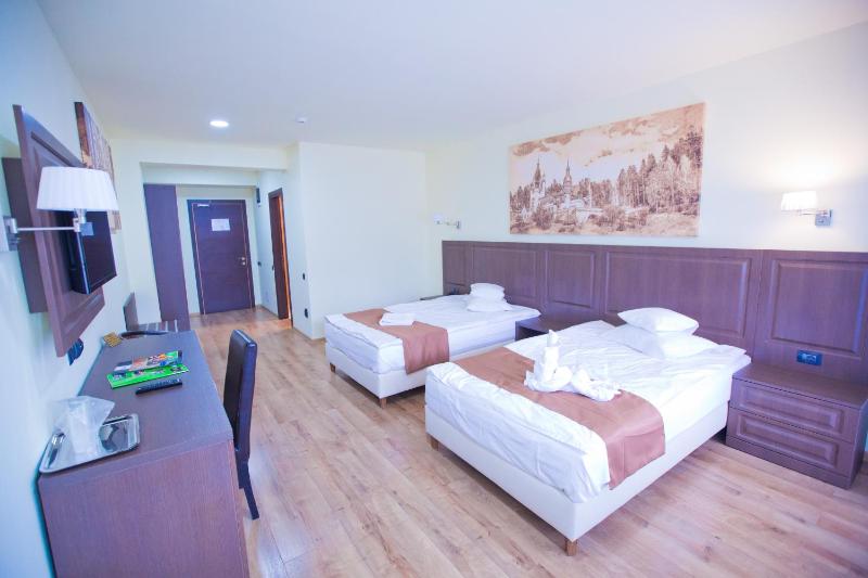 Superior Double or Twin Room image 2