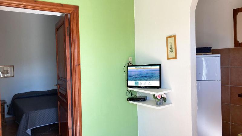 One-Bedroom Apartment image 4
