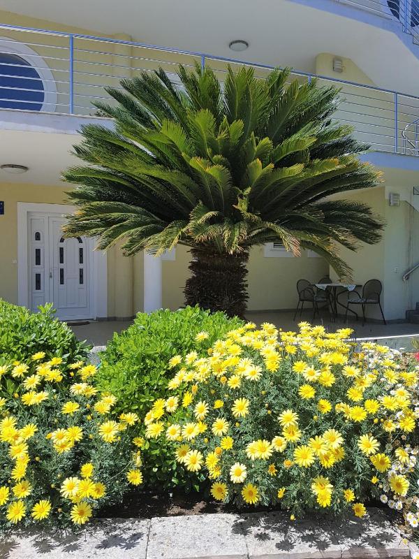 One-Bedroom Apartment - Ground Floor image 1