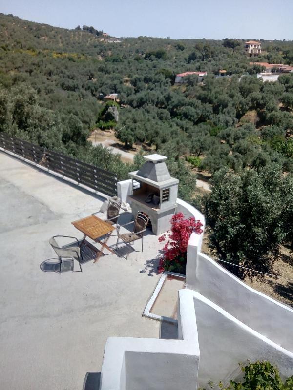 Villa Krini - image 10