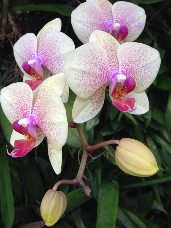 Casanapraia Bertioga - image 13
