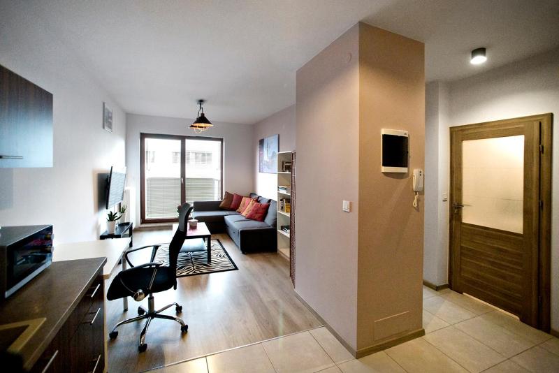 One-Bedroom Apartment image 4