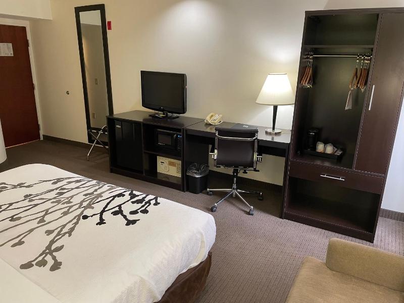 King Room - Non-Smoking image 3