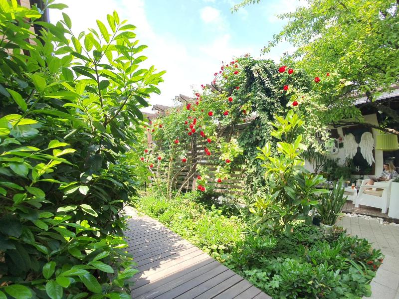 Family Room with Garden View image 3