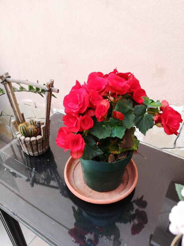 B&B Casa Valeria - image 12