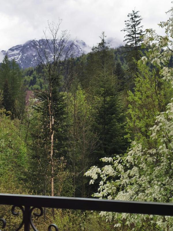 Apartamenty VILLA SKI-BÓWKI - image 31