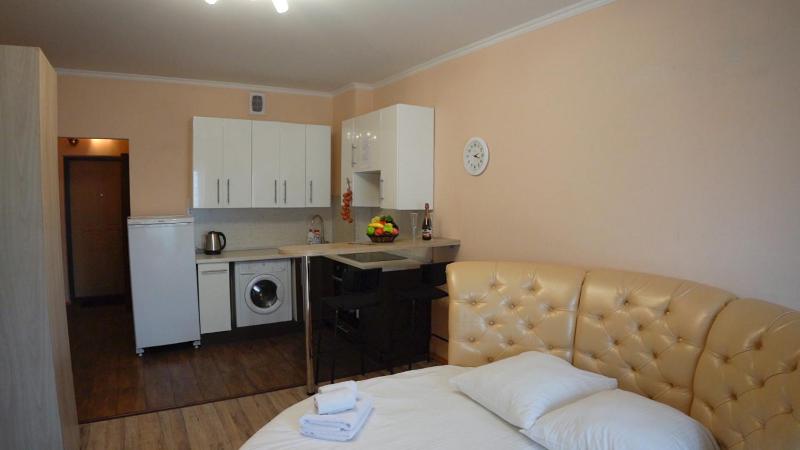 One-Bedroom Apartment image 3
