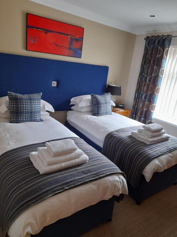 Deluxe Twin Room image 2