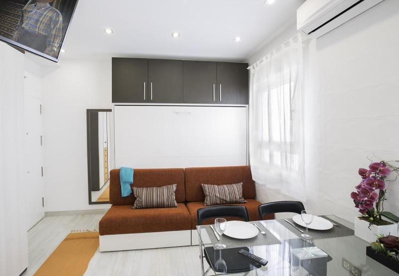 Studio Apartment IX image 4