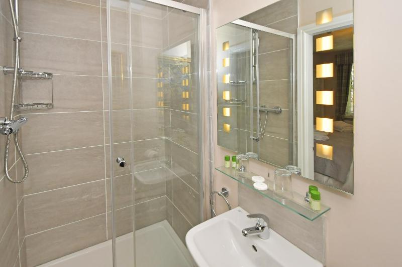 Deluxe King Room image 4