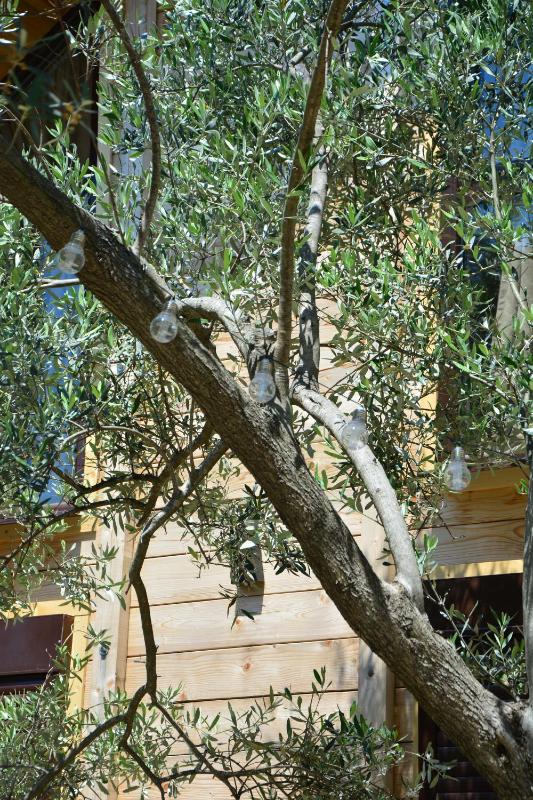 OLEA COTTAGE - image 5