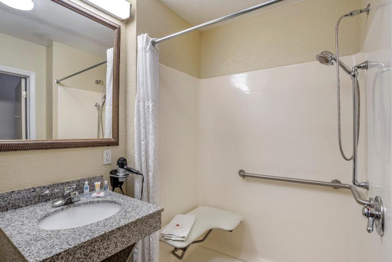 King Room with Roll-In Shower - Accessible/Non-Smoking image 3