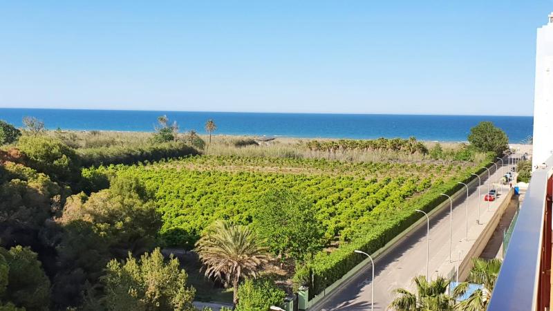 SALINAS GANDIA - Solo alquiler Familias - image 19