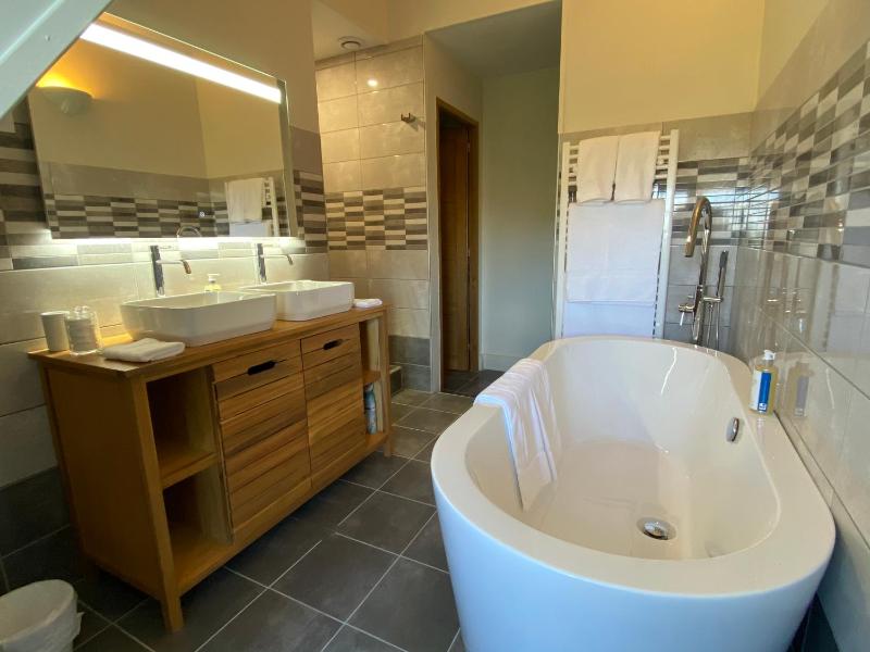 Deluxe King Suite image 4