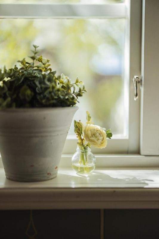 Quadruple Room with Shared Bathroom image 3