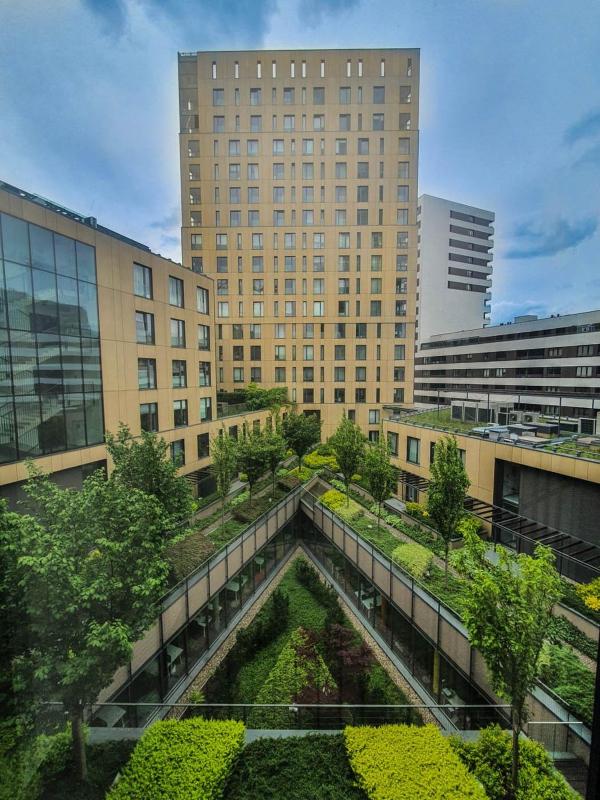 Deluxe One-Bedroom Suite image 2