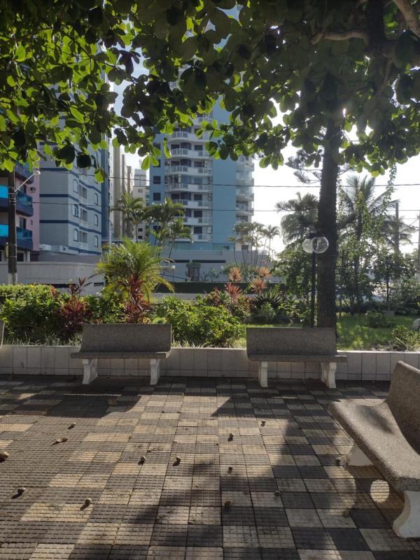 Sol e mar - image 4