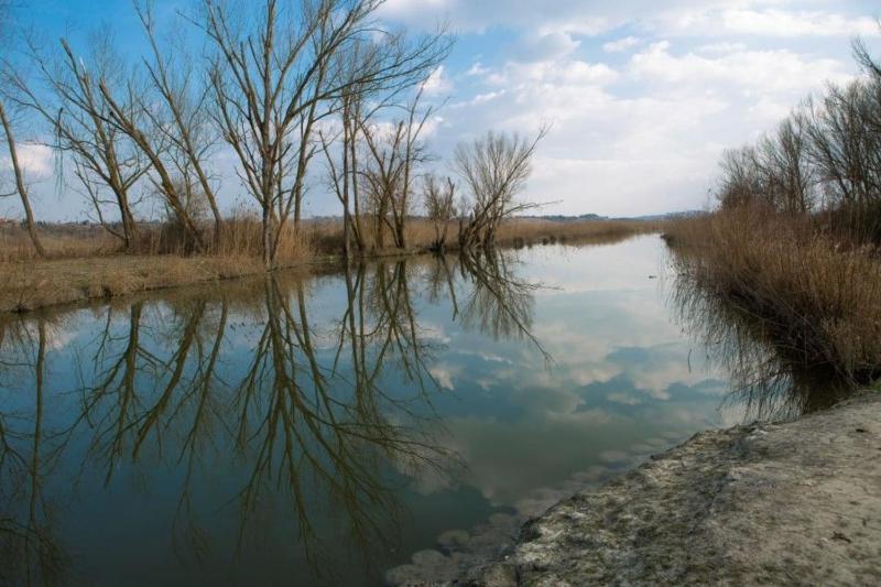 Agriturismo La Fragola - image 6