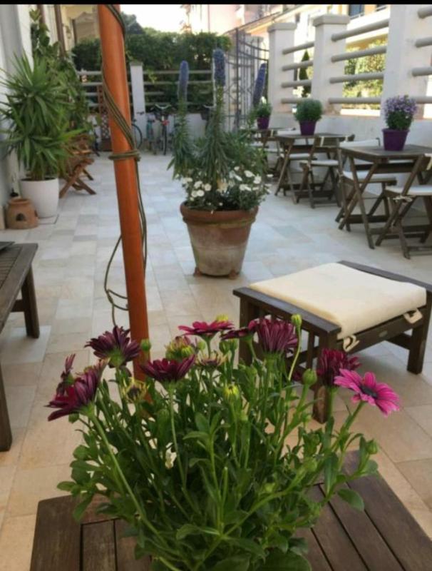 hotel lisà - image 11