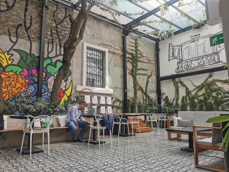 Hotel MX condesa CDMX Trademark Collection by Wyndham - image 24