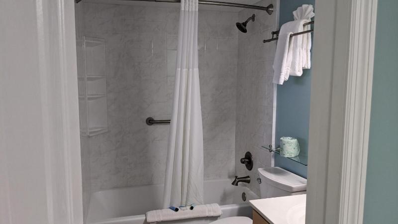 Deluxe King Room image 3