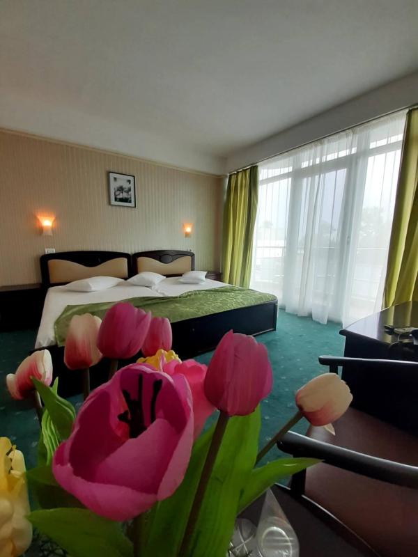 Hotel Smarald - image 40