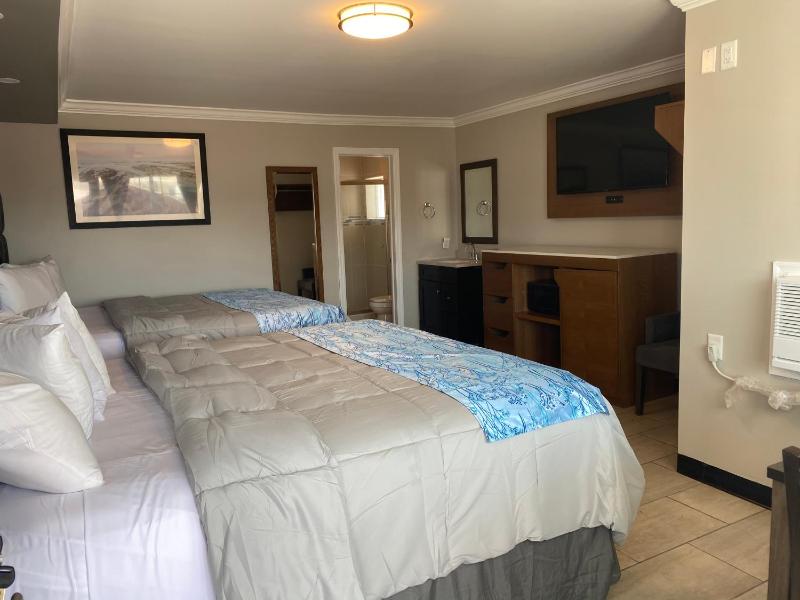 Deluxe Double Room image 4