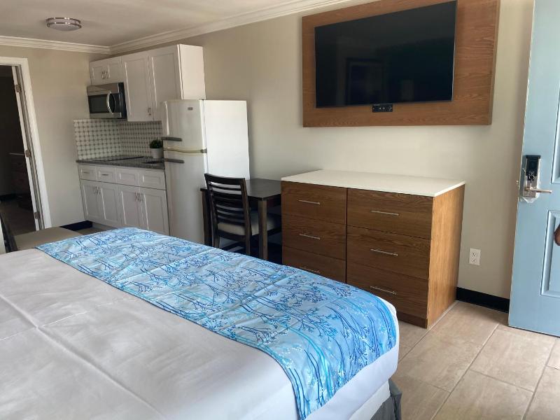 Deluxe Suite image 4