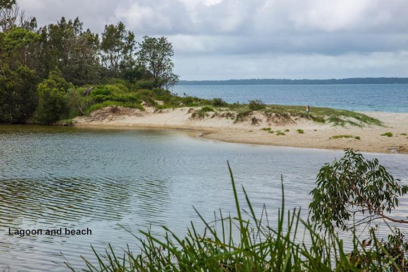 Callala Bay Beach House - Wowly Waters - Pet Friendly - image 34
