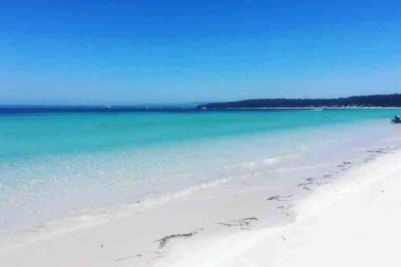 Callala Bay Beach House - Wowly Waters - Pet Friendly - image 21
