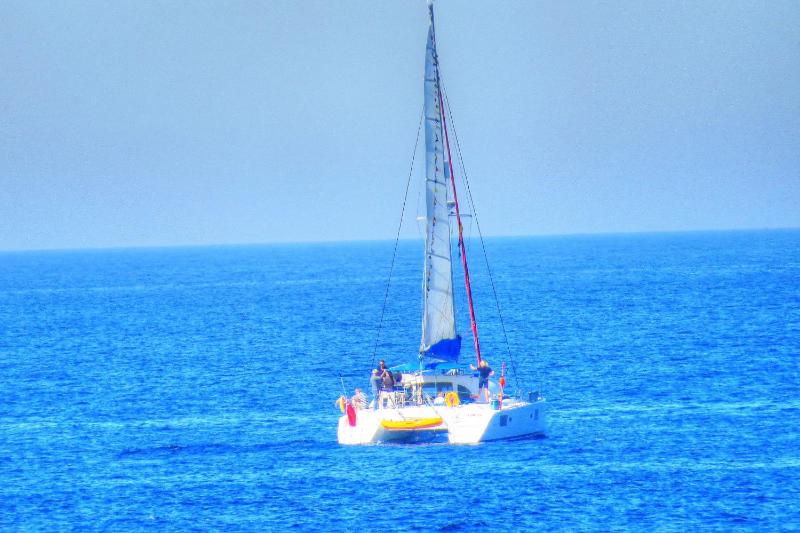 Rosa Nautica 106 - image 22