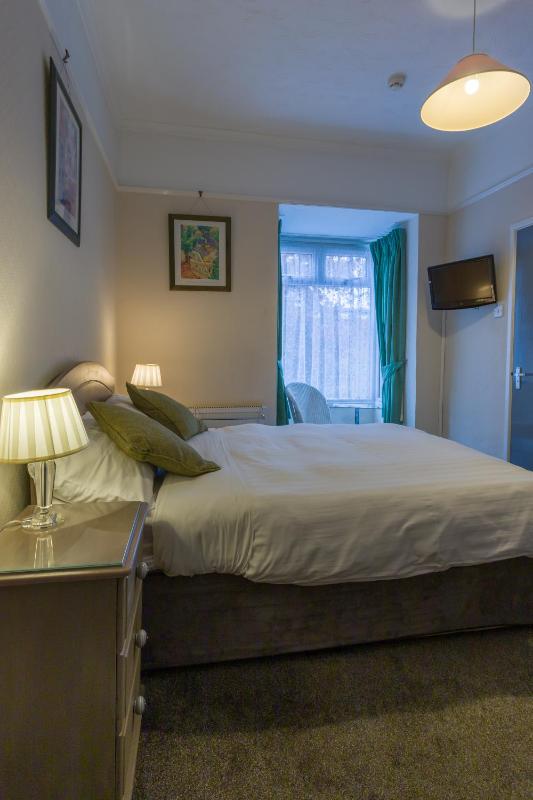 Executive Single Room image 3